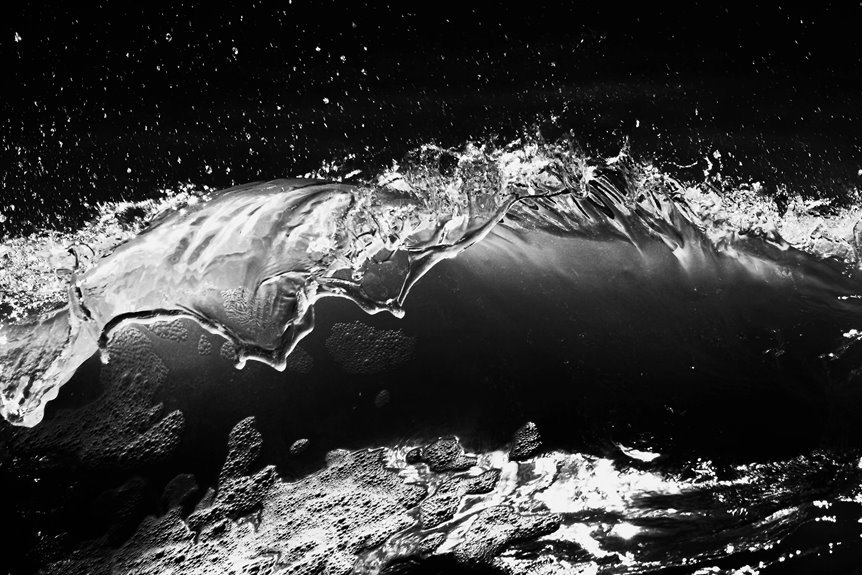 fusion momentum 3 669 860 592 digital crest