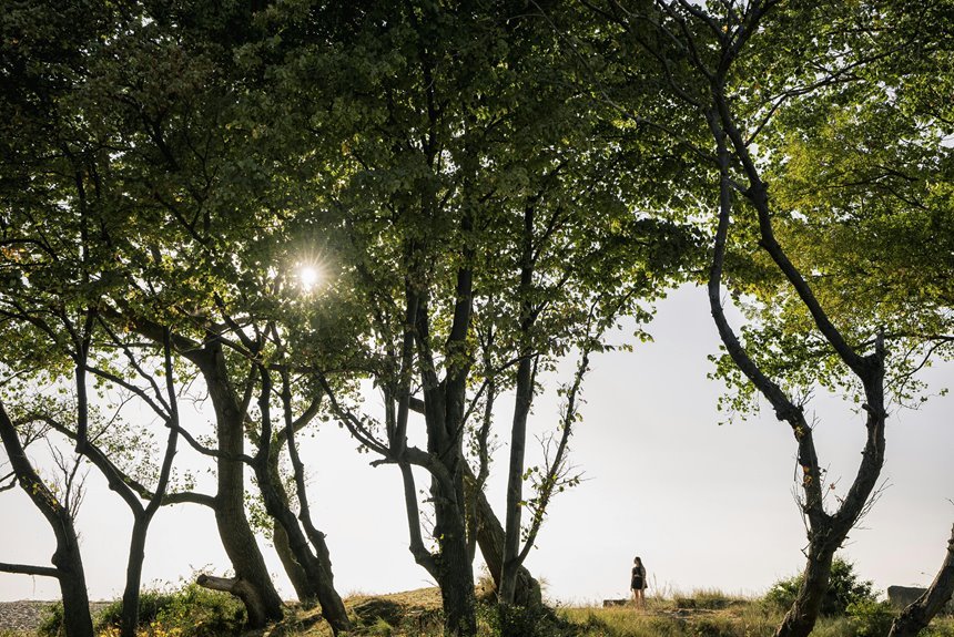 reliable public lookup of 0120619500