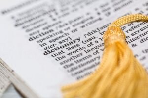 crude offensive and erroneous translation